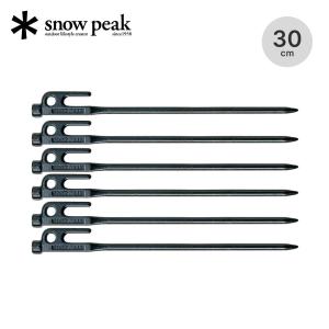 snow peak（スノーピーク） 65周年限定クロームソリッドステーク30 6本