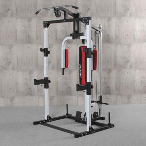 日本総代理店 □POWERTEC パワーテック 社製（USA) P-LM23ラットマシン