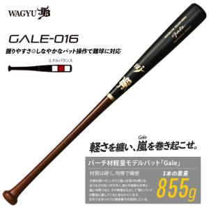 JB Gale バーチ材硬式木製バット 84cm （ブラウン/ナチュラル）GALE