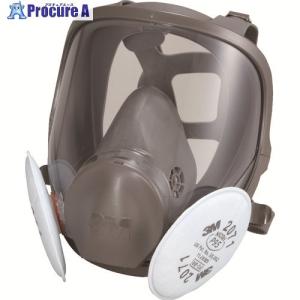 3M 防塵マスク兼防毒マスク 3M(スリーエム) 6000F/2071-RL2 全面体 M