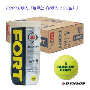 DUNLOP（ダンロップ） 『即日出荷』DUNLOP FORT フォート [2個入]1箱