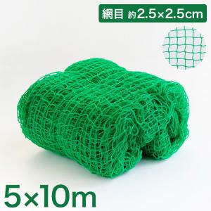 リコメン堂 バックネット 野球 5×10m 網目2.5cm グリーン 防球ネット
