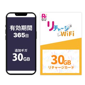 リチャージWiFi 【リチャージWiFi専用】100ギガ_30日 リチャージカード