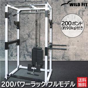 WILD FIT（ワイルドフィット） パワーケージ ラットプルオプション付
