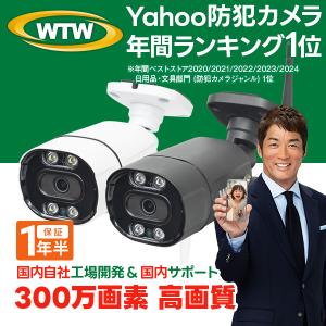 Panasonic（パナソニック） 防犯カメラ Panasonic VL-WD813K 監視