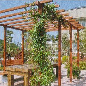 タカショー ストレートパーゴラ ダブル アルミ製組立式 2SP W2800