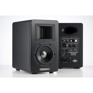 AIRPULSE（エアパルス） A100 HD MONITOR【AIRPULSE_エアパルス