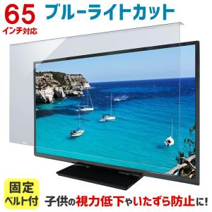 液晶テレビ保護パネル ブルーライトカット 65型 65インチ ベルト付