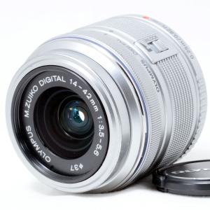 ニコン Nikon AF-S DX NIKKOR 55-300mm F4.5-5.6 G ED VR 一眼カメラ用