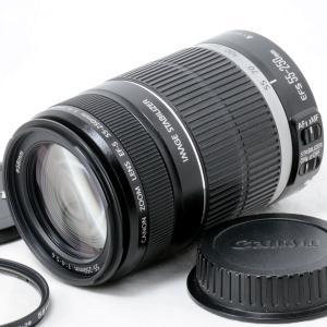 EFレンズ キヤノン Canon EF75-300mm F4-5.6 III 激安望遠ズームレンズ