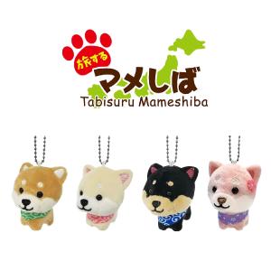 2026年2月】旅するマメしば まめたのおすすめ人気ランキング - Yahoo