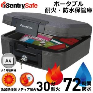 セントリー Sentry 金庫 CHW20101 火災保証付き 耐火防水金庫 30分耐火