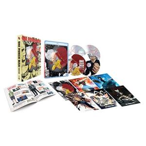 ワンパンマン 第2期 コンプリート DVD 全12話 (13-24話 286分) アニメ