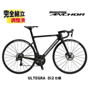 ブリヂストン アンカーRP9 フレームセット BRIDGESTONE ANCHOR : 一心