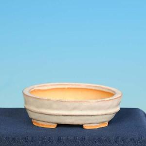 盆栽小鉢：伊藤屯洋(とんよう) 楕円鉢 13.2cm *現品もの 資材 : 遊恵