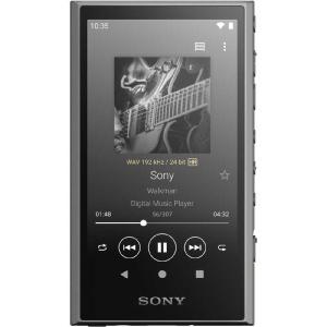 SONY（ソニー） ウォークマン A300シリーズ NW-A306 H : ケーズデンキ