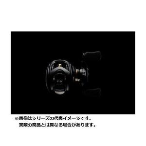 DAIWA（ダイワ） スティーズ CT SV TW 700XHL 左ハンドル ベイトリール
