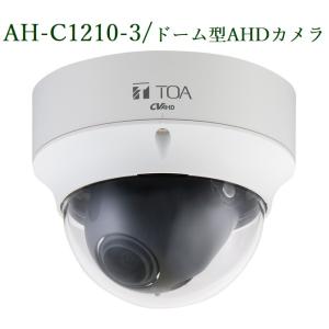 N-C5220-3 ドーム型フルHDネットワークカメラ(画像認識) TOA