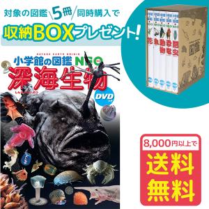 小学館の図鑑NEO［新版］科学の実験 DVDつき（収納BOX付・送料無料
