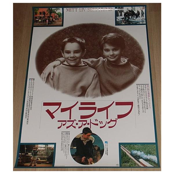 cinemainc2019_pos10870