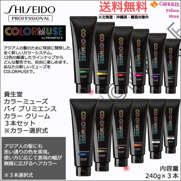 SHISEIDO PROFESSIONAL（資生堂プロフェッショナル） 送料無料｜資生堂
