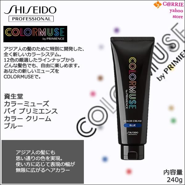 SHISEIDO PROFESSIONAL（資生堂プロフェッショナル） 資生堂 カラー