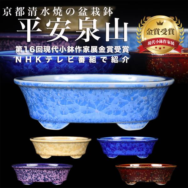 盆栽鉢 植木鉢 「平安泉山黄花結晶楕円鉢」 山草鉢 清水焼 京焼 磁器 6