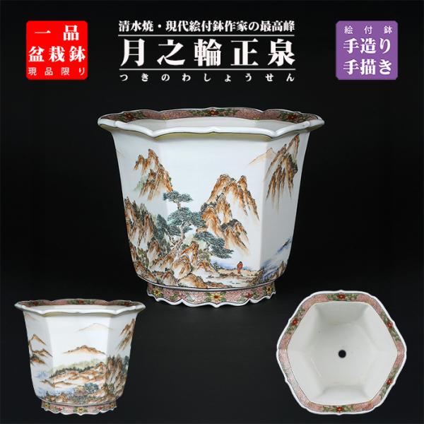 盆栽鉢 月之輪正泉五彩訪友図輪花縁六角鉢 絵付鉢 色絵 京焼 清水焼 8