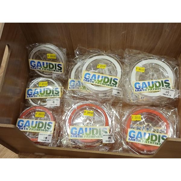 gizmo-y_gsexc0827tokka