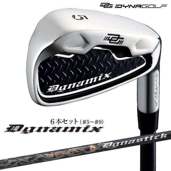 DYNAGOLF（ダイナゴルフ） ゴルフ クラブ メンズ アイアンセット 6本
