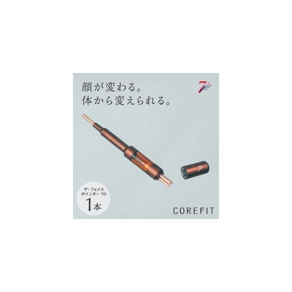 ふるさと納税 【数量限定】The FACE POiNTER 7th 取り扱い開始！ 福井
