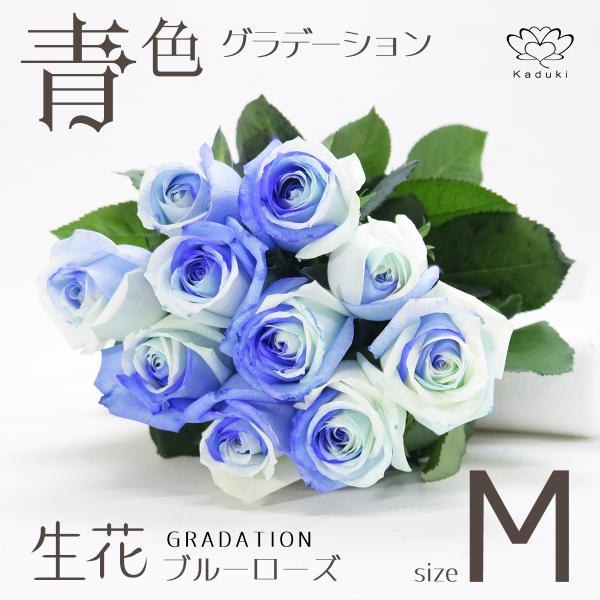 kaduki-miyachi_bgb-20