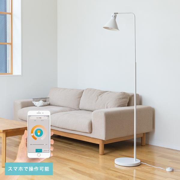 kaiteki-homes_bbf-046t