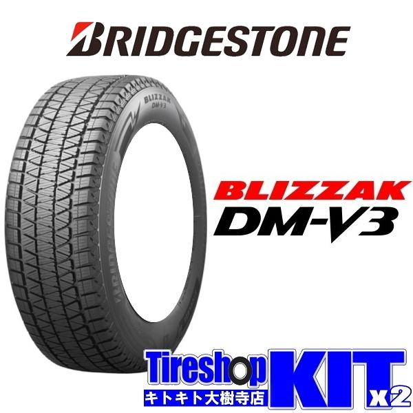ブリザック DMーV3 2025年製 ブリヂストン DMV3 DM-V3 175/80R16