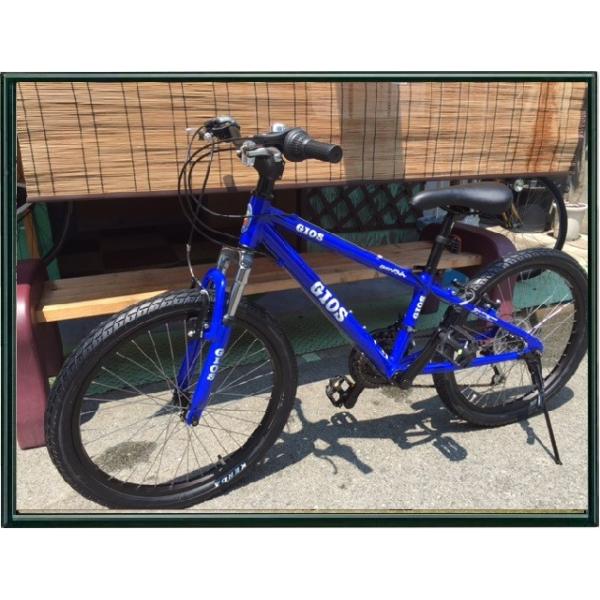 GIOS（ジオス） 子供用自転車 GENOVA 20インチ 子供用とは思えない