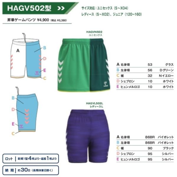 法政大学 バレーボール ユニフォーム＋ゲームパンツ kiyospo_dsp-6111b