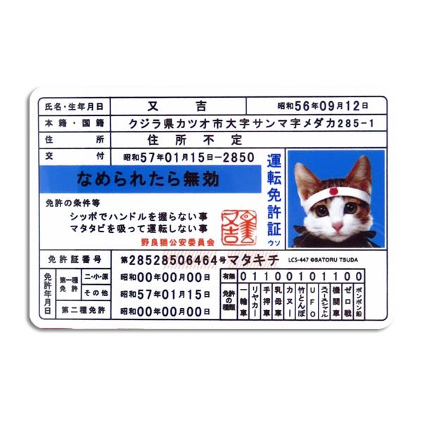 最大P14倍 2/25限定】なめ猫 なめねこ ステッカー 車 リアガラス