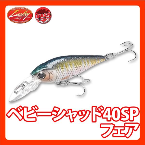 LUCKY CRAFT（ラッキークラフト） ベビーシャッド40SP - フェア