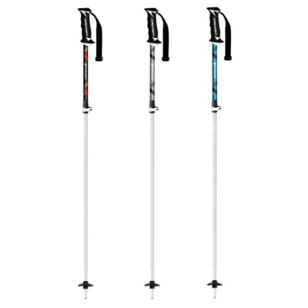 SINANO（シナノ） スキーストック メンズ レディース フリー エックス