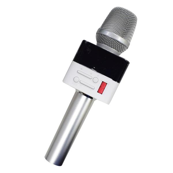 TEICHIKU DVD-JMICW ダイナミックマイク カラオケ TEICHIKU DVD-JMICW