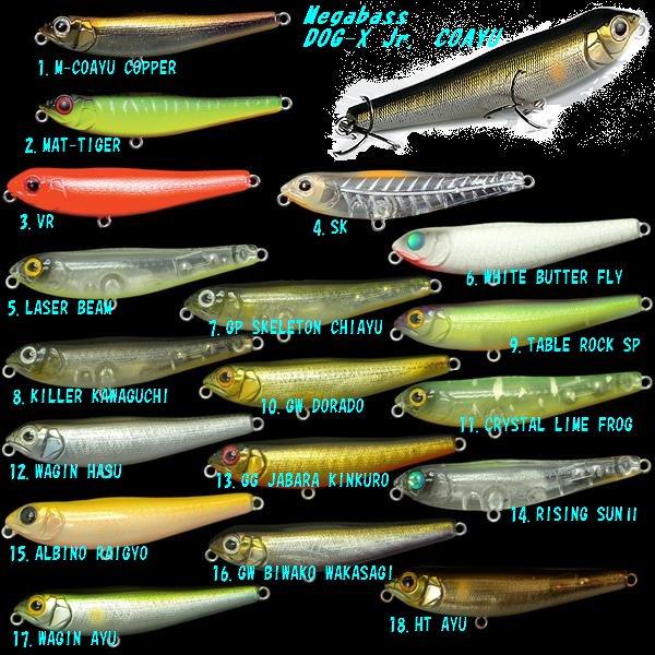 Megabass DOG-X Jr. COAYU （メガバス ドッグX Jr． コアユ
