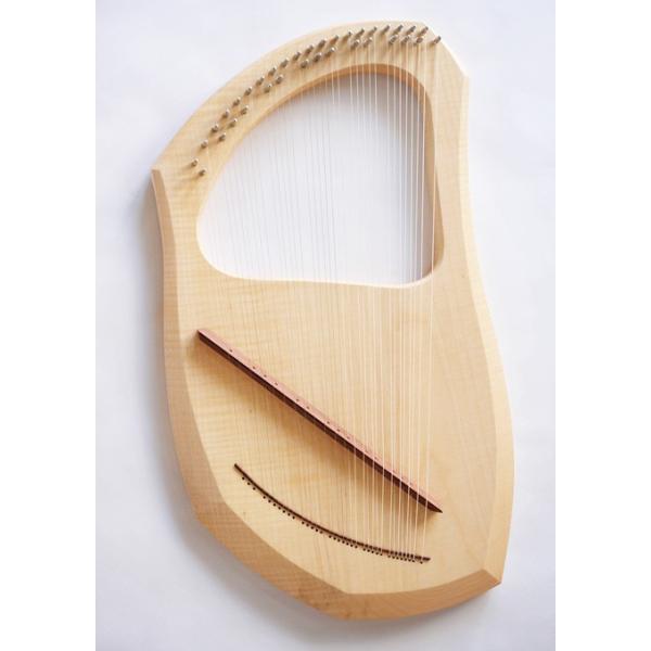 アウリスライアー35弦（ケース付） : メルヒェン Yahoo!店 - 通販