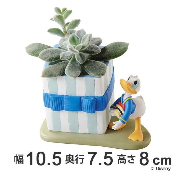 Disney（ディズニー） ミニプランター ギフト ドナルドダック