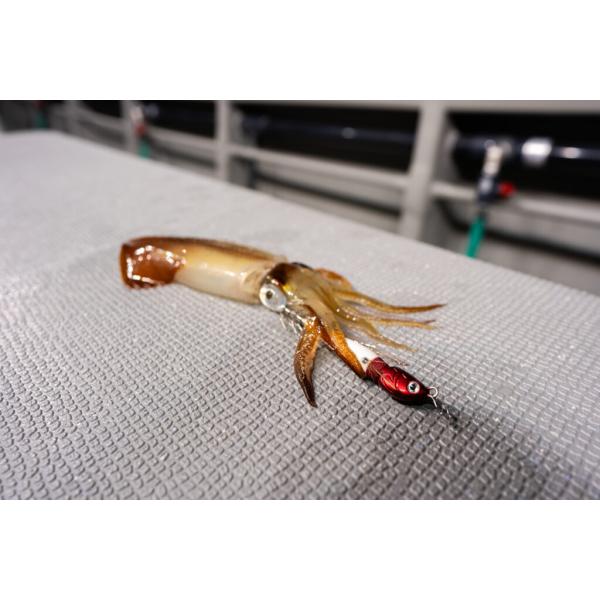 アニサキス アニサキスッテ 25号 : lureshopSAWAヤフー店 - 通販