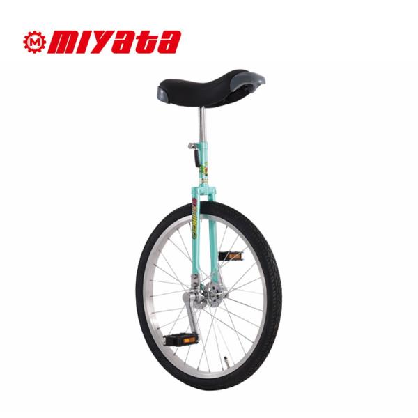 miyata（ミヤタ） FLAMINGO フラミンゴ 24インチ 一輪車 : バイシクル