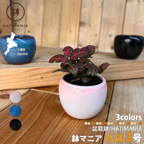 HATIMANIA 鉢マニア 丸鉢 2号 盆栽鉢 水が抜けやすい 小さい 小サイズ