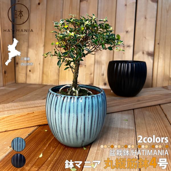 HATIMANIA 鉢マニア 丸縦筋鉢 4号 盆栽鉢 水が抜けやすい 小さい 小
