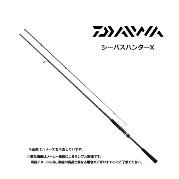 DAIWA（ダイワ） '21 SEABASS HUNTER X(シーバスハンターX) 106M