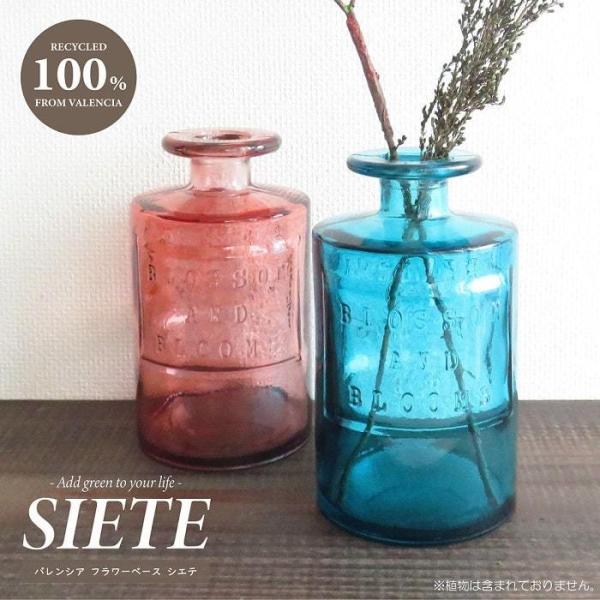 SPICE of Life（スパイス オブ ライフ） フラワーベース バレンシア