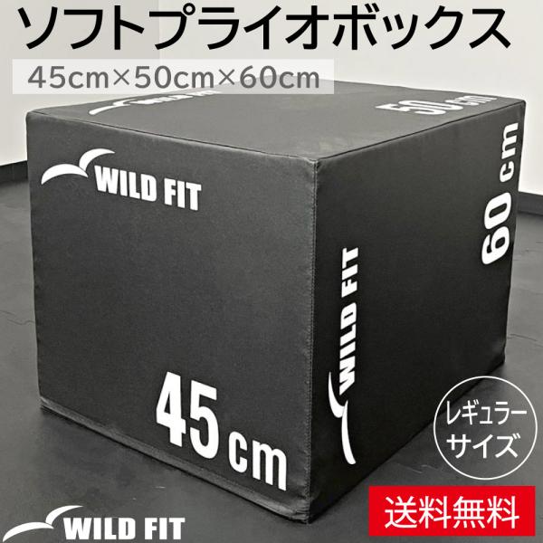 WILD FIT（ワイルドフィット） ソフトプライオボックス レギュラー